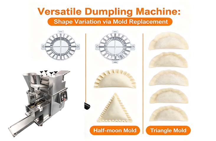 Various shape of dumpling