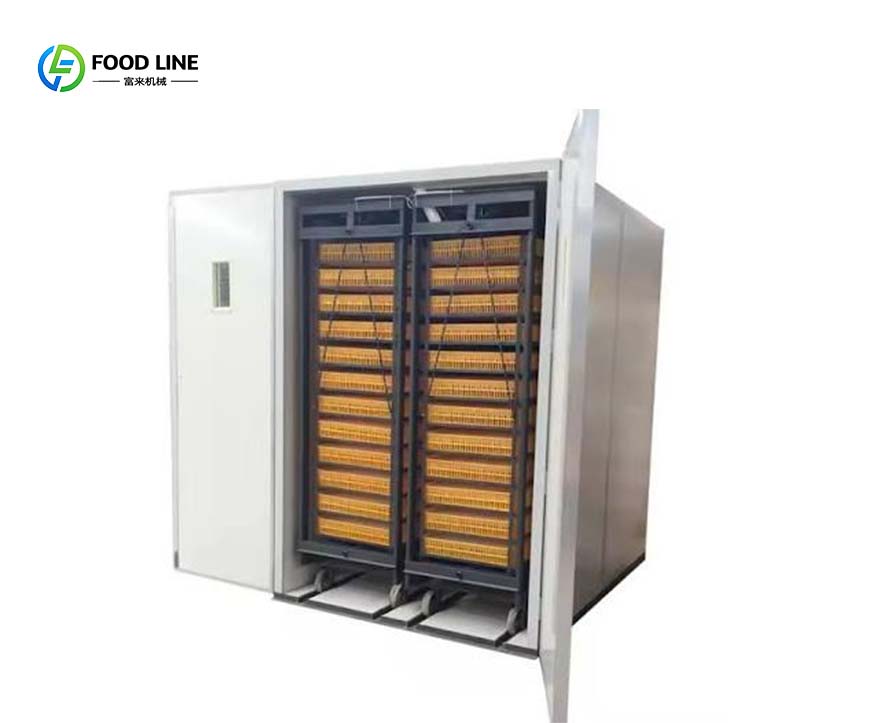 Commercial Egg Incubator for Sale | Industrial Poultry Hatchery Machine