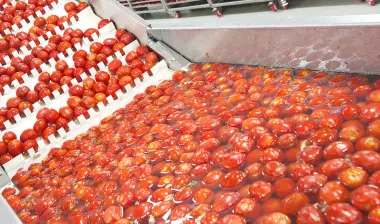 Consistent product quality