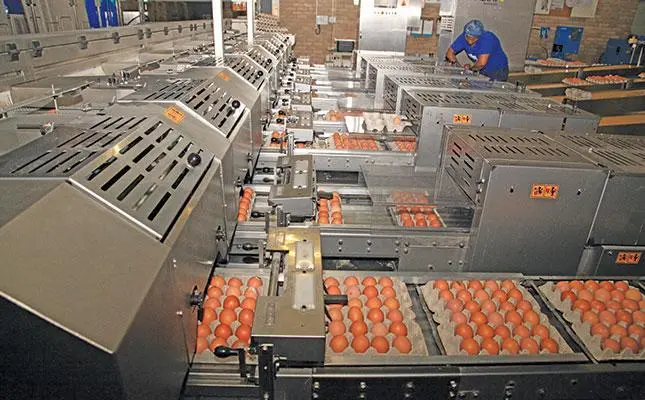 Egg Packing Centers