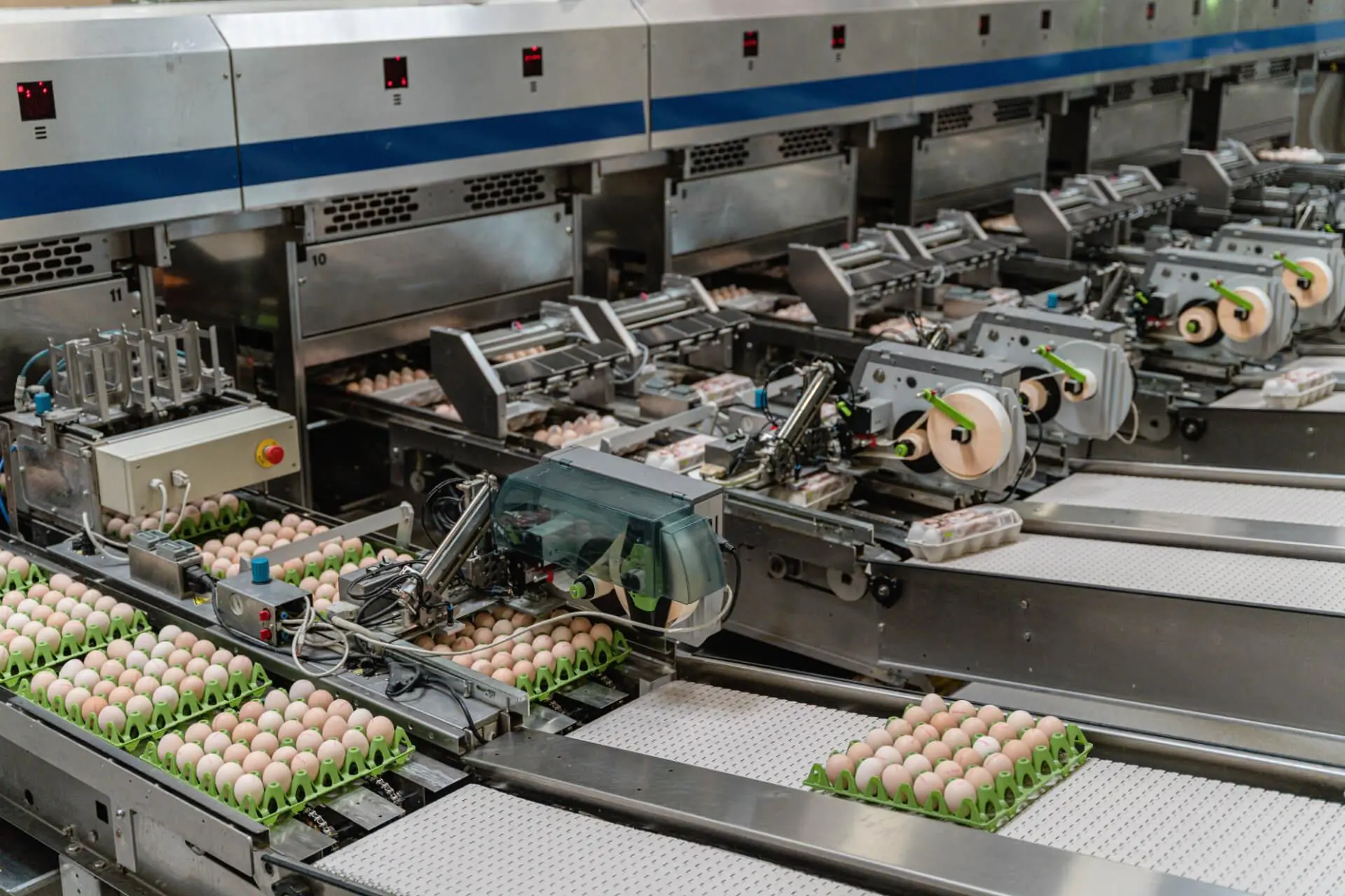 Egg Processing Plants