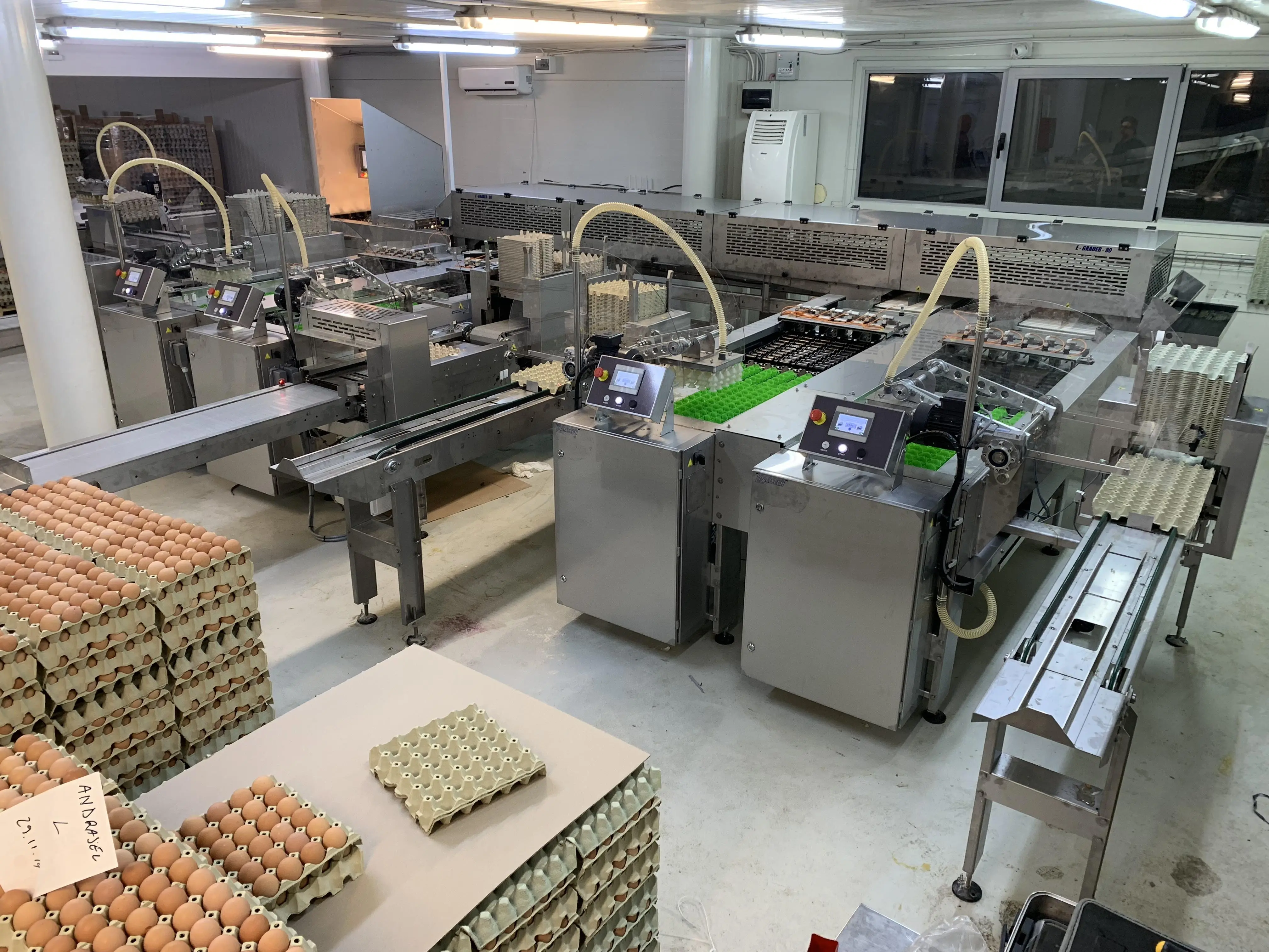 Egg Grading Machine View 2