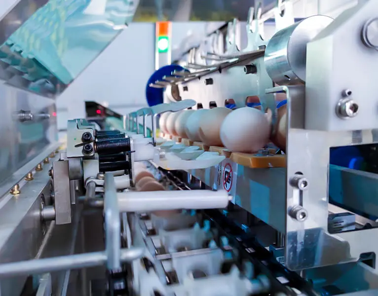 Egg Grading Machine View 1