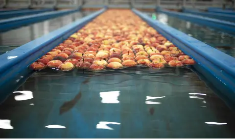 High-Efficiency Production Capability