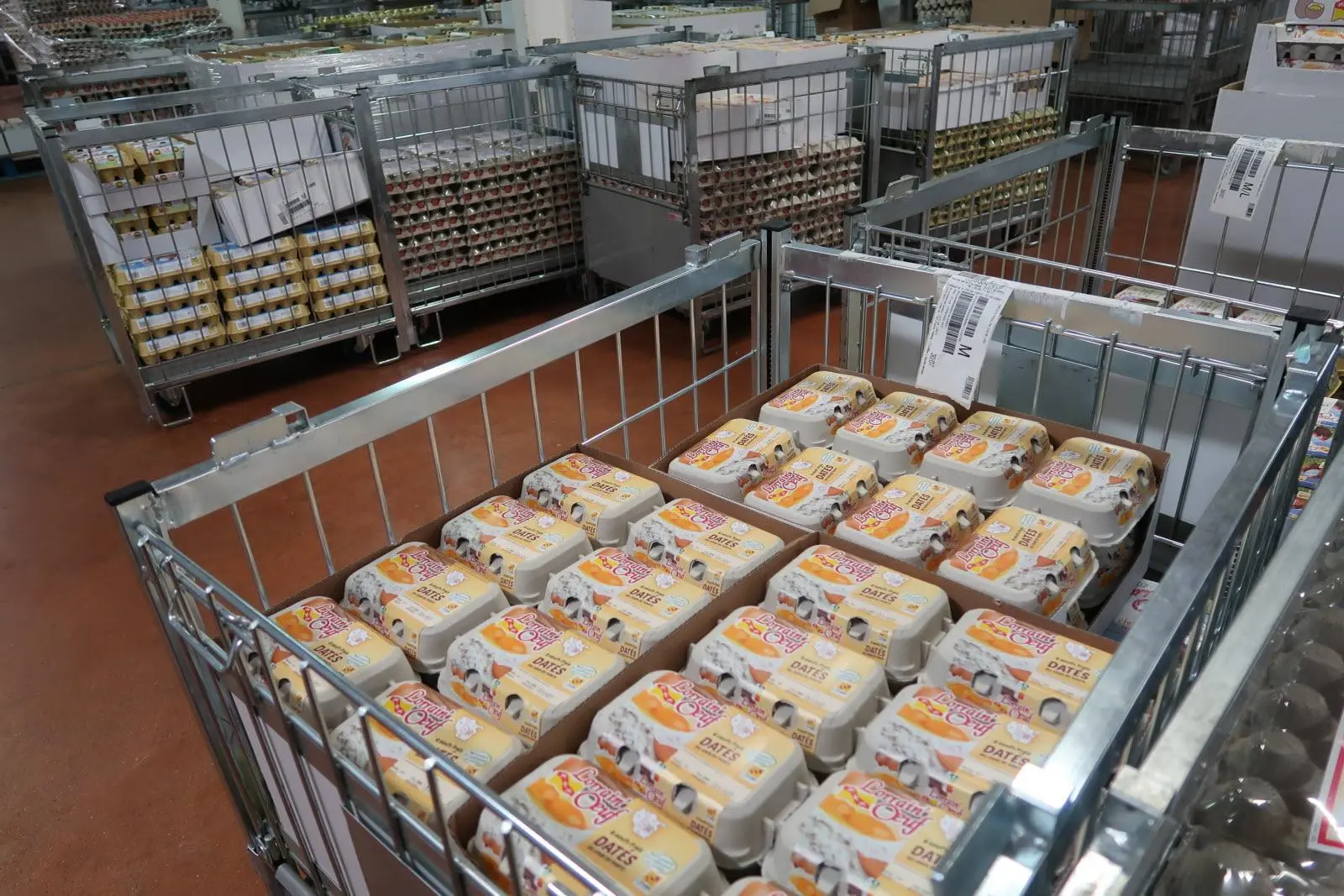 Egg Distribution & Export
