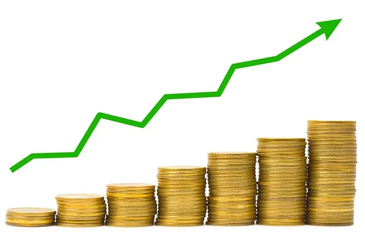 Maximize Profit Margin